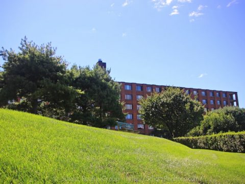 Abundance of green on the grounds!