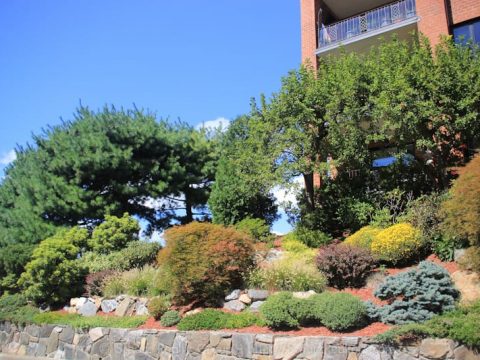 The colors change with the seasons.